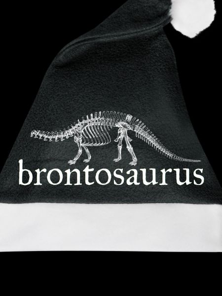 Brontosaurus Dinosaurier