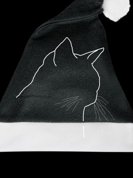 Kater