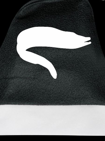 Aal