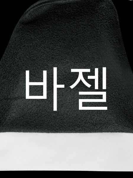 Basel koreanisch