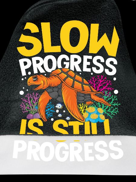SLOW PROGRESS IS STILL PROGRESS