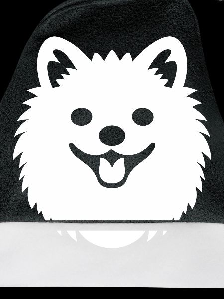 Spitz