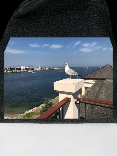 Möwe über Küstenbalkon