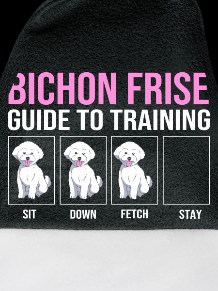 Bichon Frise