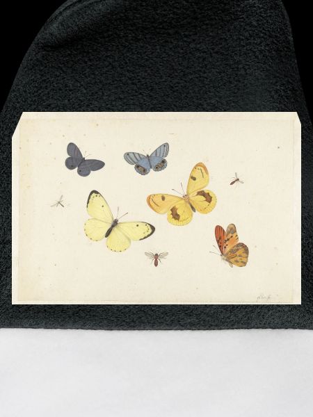 Sheet_of_Studies_with_Five_Butterflies