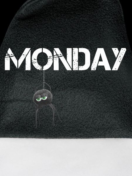Monday Spider