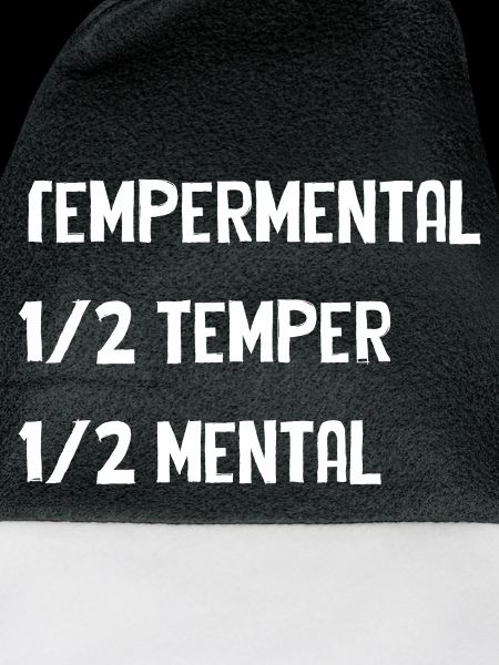 Tempermental Split Typography