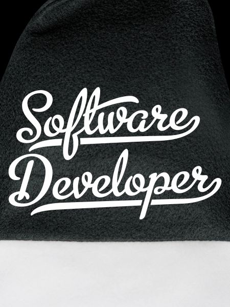 Software Developer