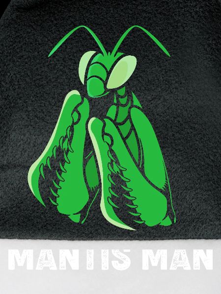 Gottesanbeter Gottesanbeterin Mantis