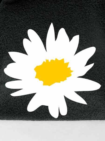 Margerite - Butterblume - Gänseblümchen