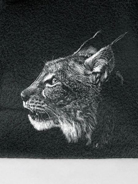 Luchs