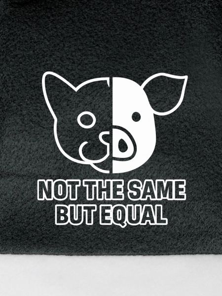Katze Schwein