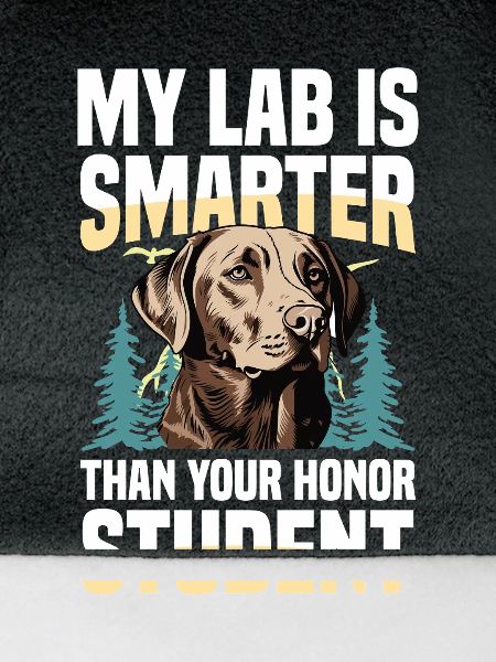 Jagd Mit Labrador