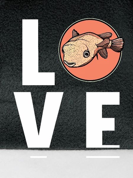 Kugelfische Kugelfisch