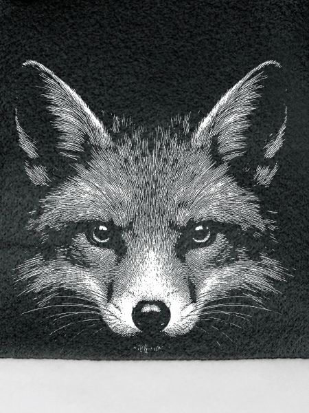 Rotfuchs