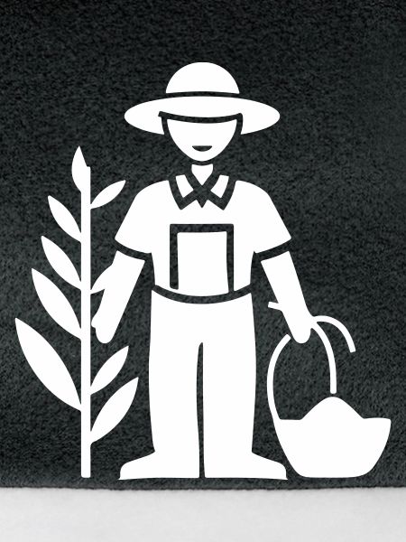 Farmer Bauer