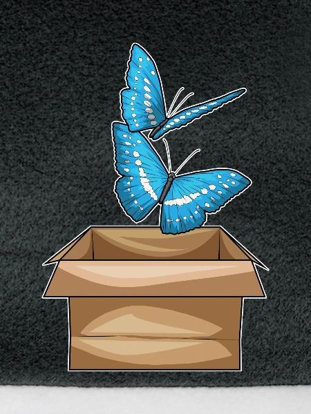 Schmetterling Karton