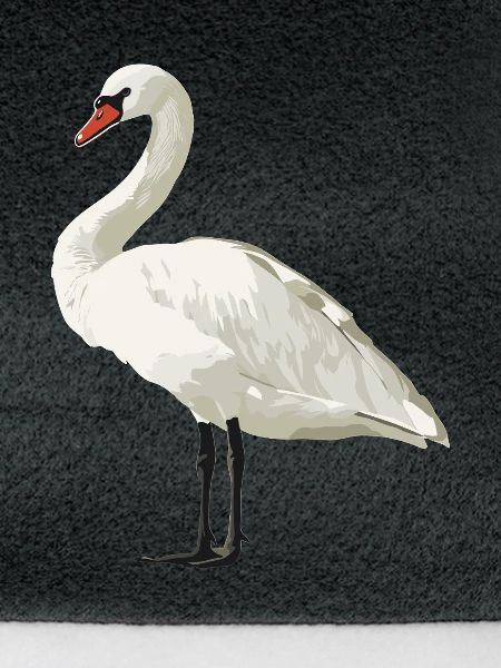 Schwäne Schwan
