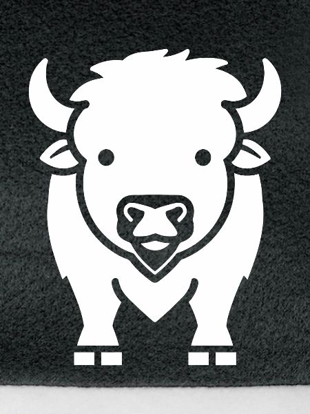 Bison