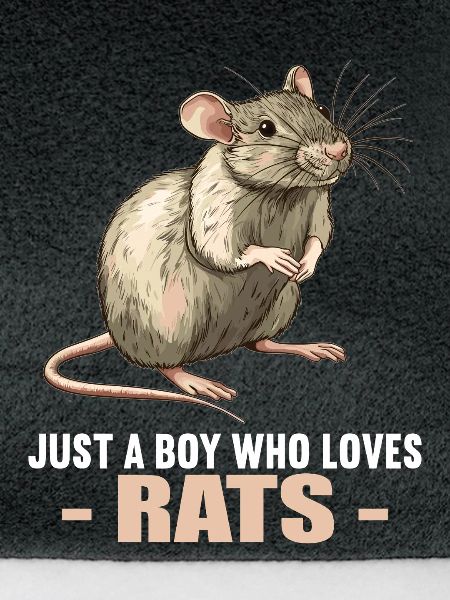 Ratten Ratte