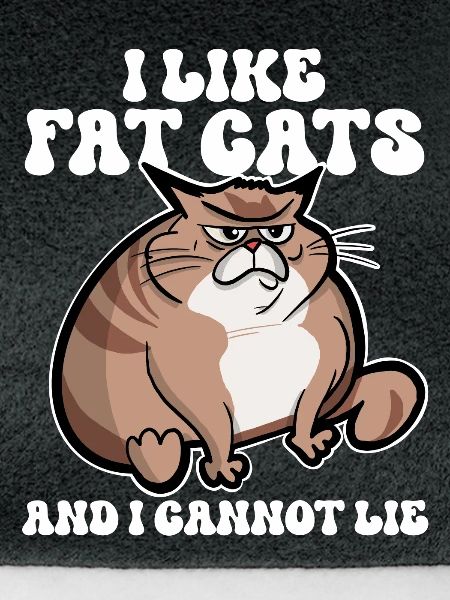Fette Katze