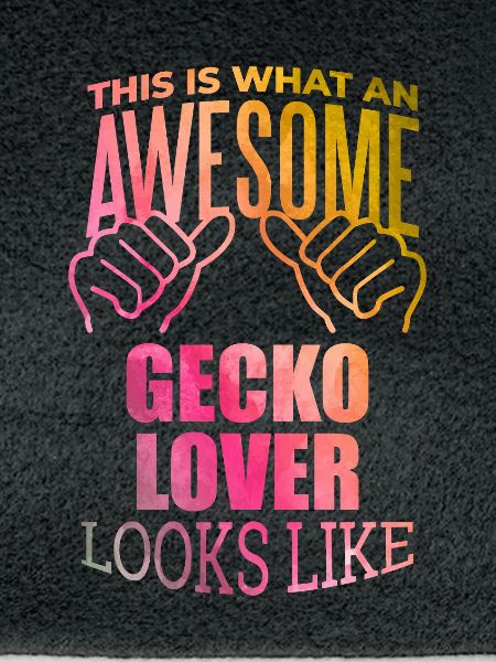 Gecko Gecko Gecko