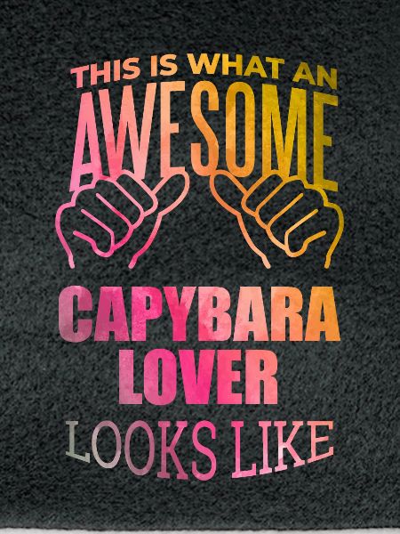 Capybara Capybara Capybara