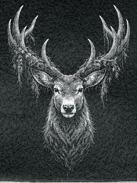 Rotwild 