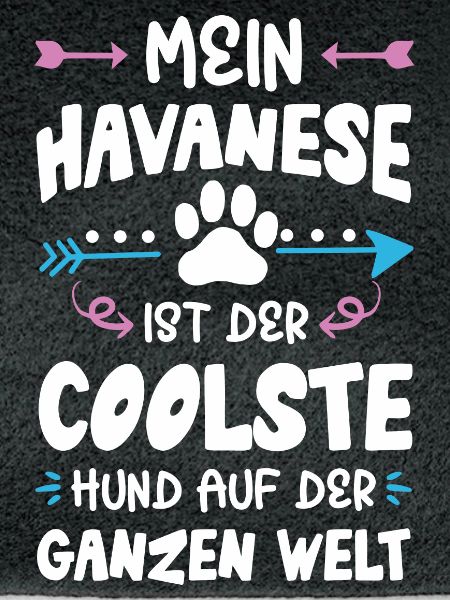 havanese hund spruch