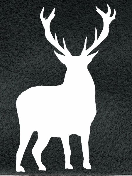 Hirsch