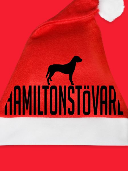 HAMILTONSTOEVARE Hunderasse