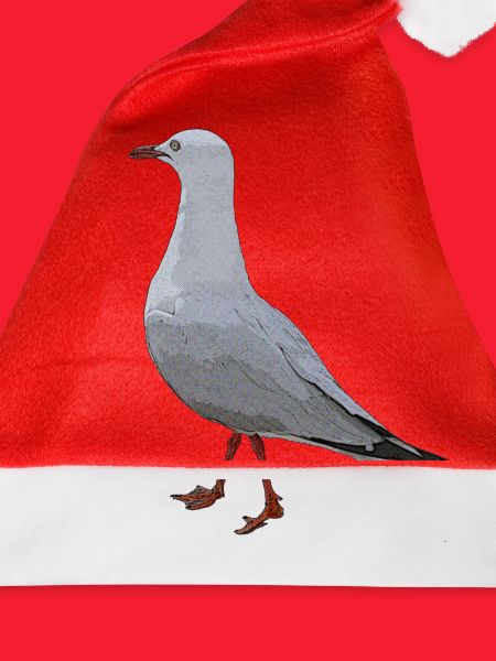 Australian Seagull