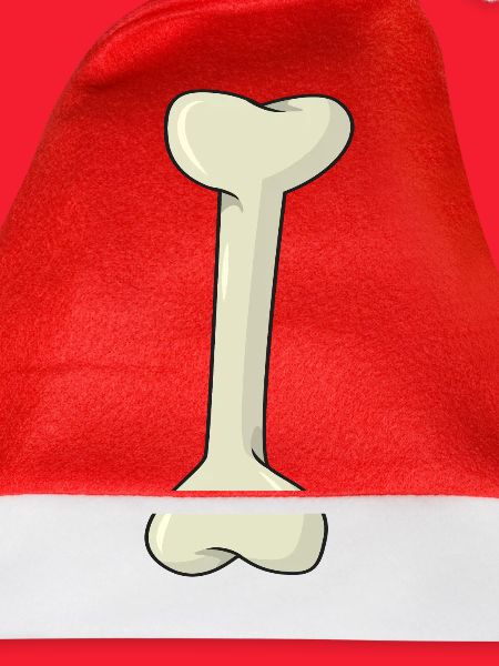 Knochen