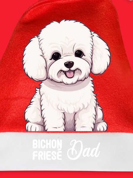 Hund Bichon Friesé