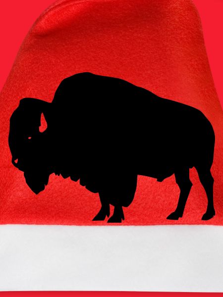 Bison