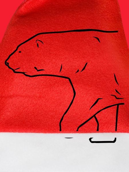 Polar Bear - Eisbär
