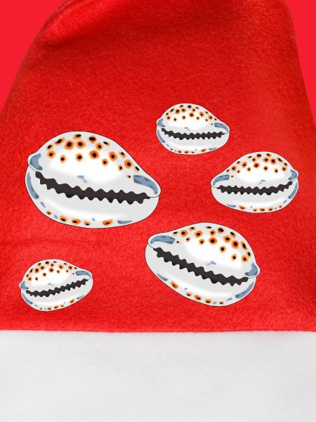 Muscheln