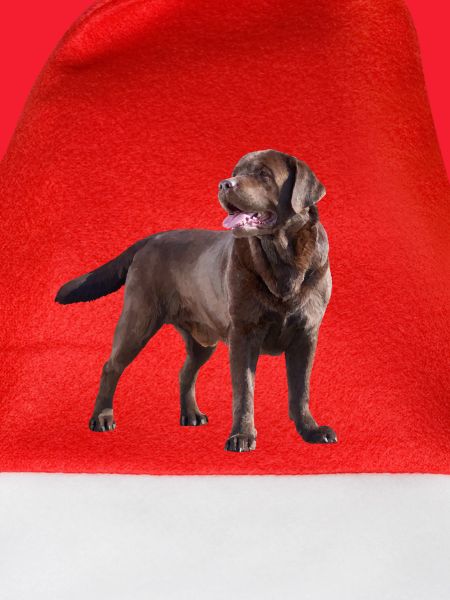 Labrador