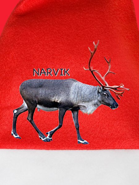 NARVIK