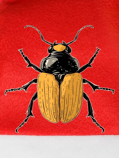 Maikäfer Süßer Hirschkäfer Nashornkäfer Insekten