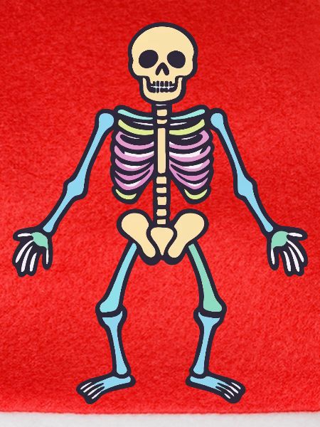 Skelett Skull