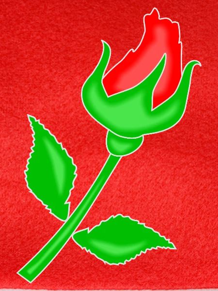 Rose rot