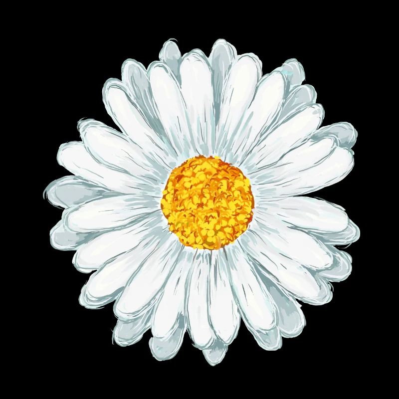 marguerite
