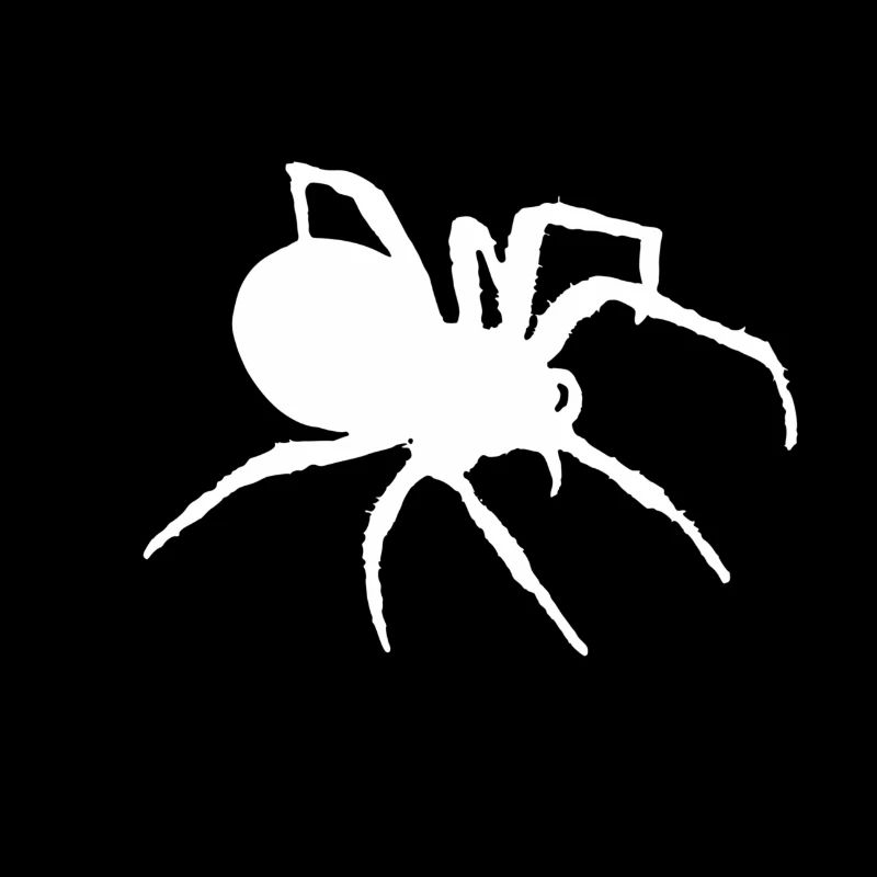 Silhouette d'araignée en rotation