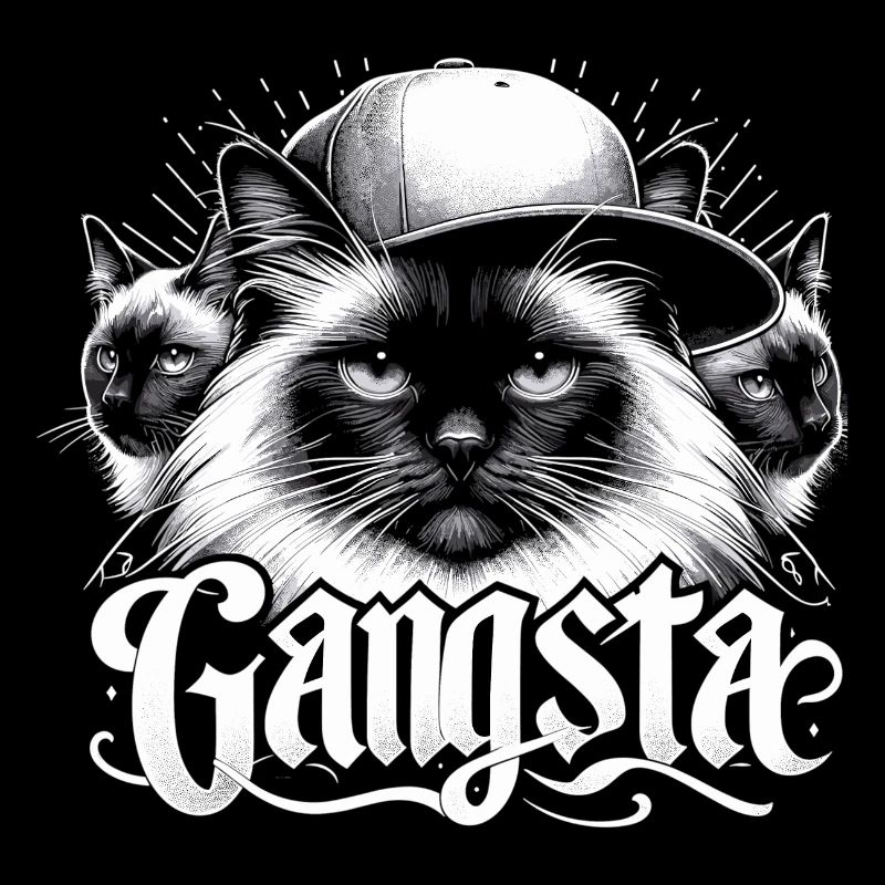 Sacred Birman Cat Birman Cat Trio Gangsta Gesche