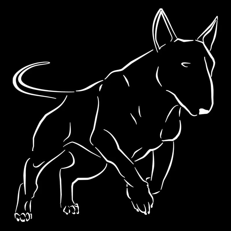 Bullterrier Hund