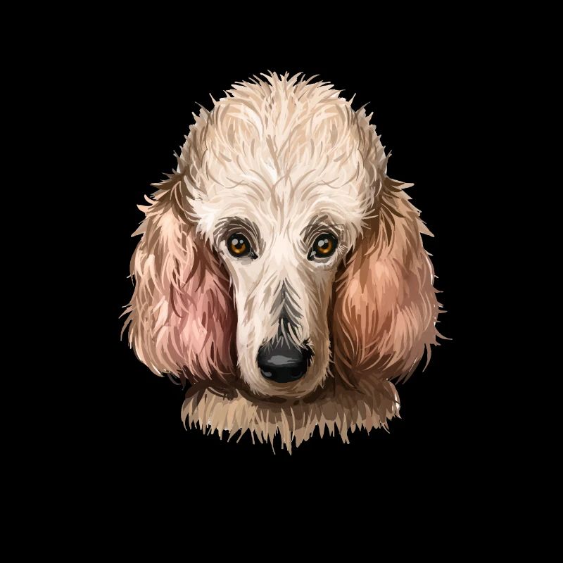 Pudel Hund Aquarell Farbe Illustration