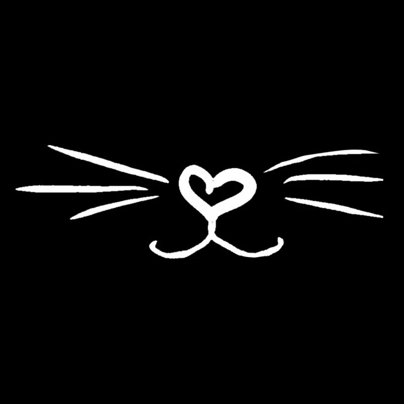 Chat de chat