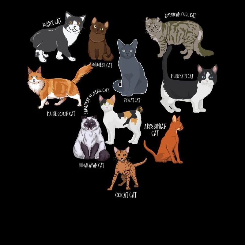 Espèces de chats, chats, chatons