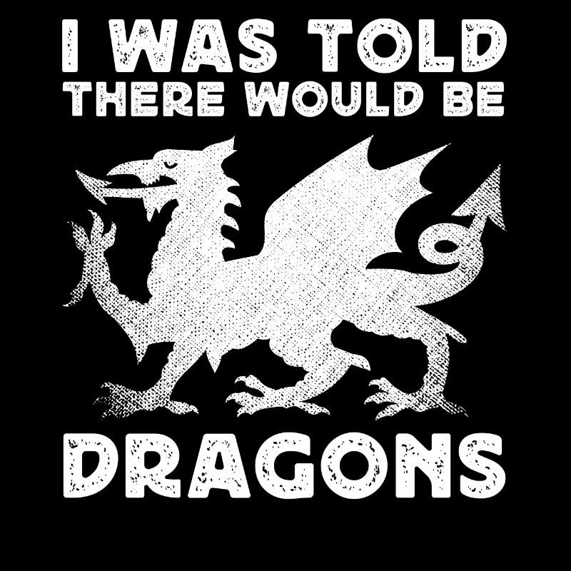 I was told that there would be dragons